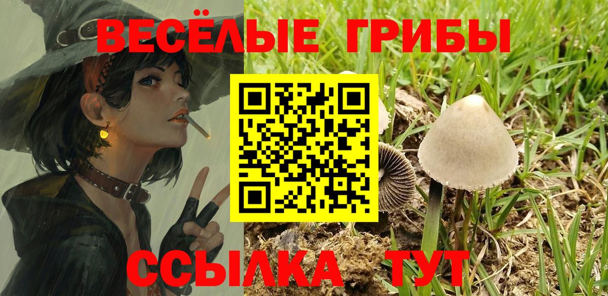 Галлюциногенные грибы MAGIC MUSHROOMS  Вход с VPN  Ачхой-Мартан 